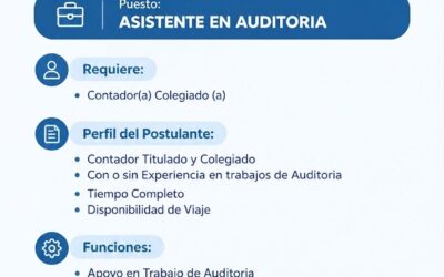 Se solicita Asistente de Auditoría