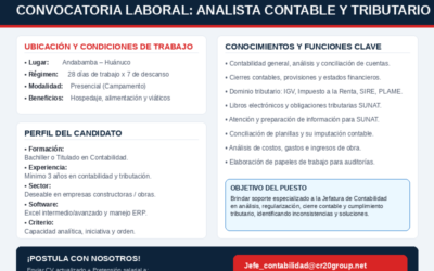 PERFIL REQUERIDO – ANALISTA CONTABLE Y TRIBUTARIO