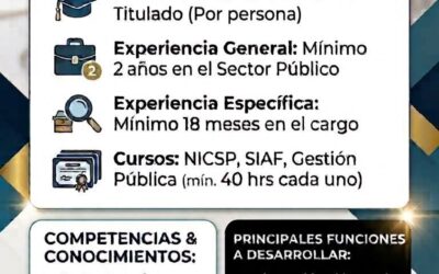 Se busca 2 Analistas en Normas Internacionales de Contabilidad del Sector Público